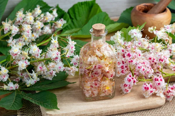 Uma Garrafa Cheia Flores Castanha Cavalo Álcool Para Preparar Tintura — Fotografia de Stock