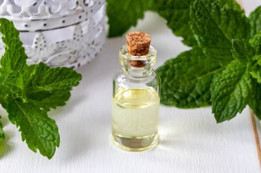 Beyaz ahşap arka plan üzerinde bir şişe uçucu yağ ile taze nane yaprakları