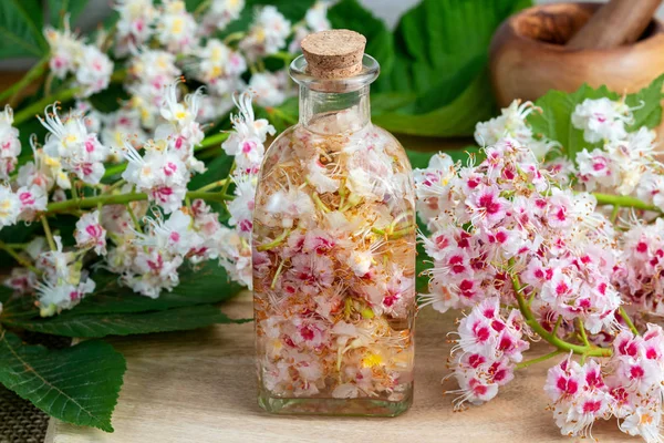 Macerando Flores Castanha Cavalo Uma Garrafa Álcool Para Preparar Tintura — Fotografia de Stock