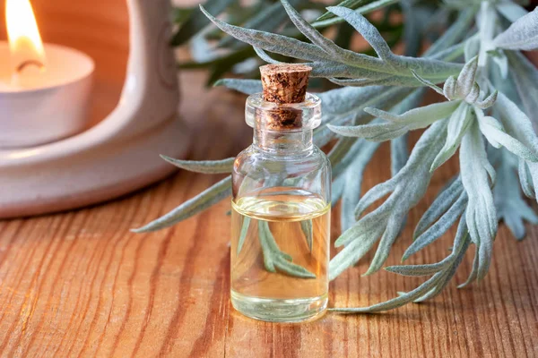 Butelkę Piołunu Olejek Świeże Rośliny Artemisia Absinthium Drewnianym Stole — Zdjęcie stockowe