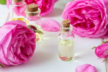 Esans ile taze gül beyaz bir arka plan üzerinde bir şişe