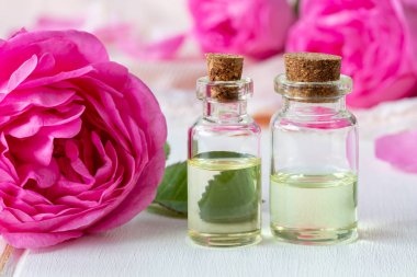 Uçucu yağ ile taze gül beyaz bir arka plan üzerinde iki şişe