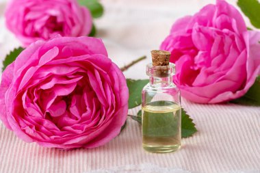 A transparent bottle of essential oil with fresh roses clipart