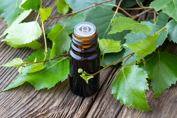 Een Donker Fles Van Etherische Olie Met Jonge Berk Takken — Stockfoto