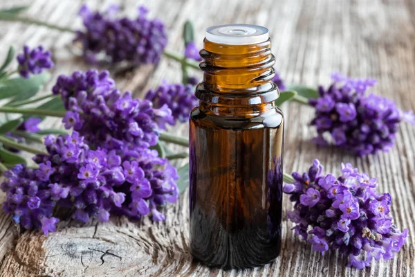 Flaske Æterisk Olie Med Frisk Blomstrende Lavendel - Stock-foto