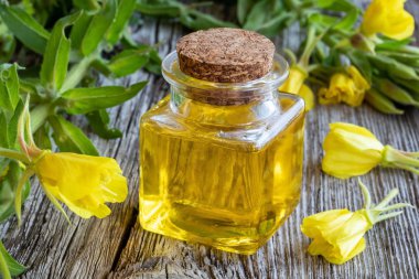 Bir şişe evening primrose yağı ve taze çiçek açan bitki 
