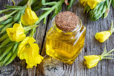 Bir şişe evening primrose yağı ve taze çiçek açan bitki 