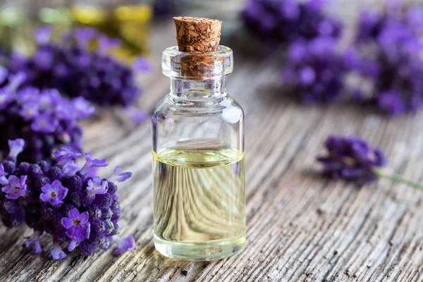 Bottle Essential Oil Fresh Blooming Lavender Twigs — Stock Photo, Image