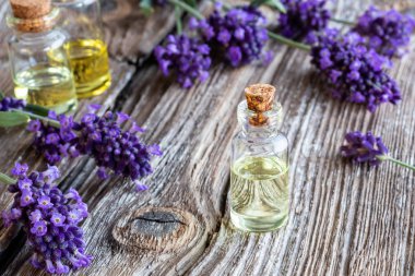 Taze çiçek açan lavanta dallarıyla birlikte bir şişe gerekli yağ.