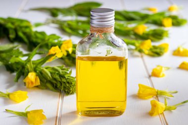Bir şişe evening primrose yağı ve beyaz zemin üzerine taze çiçek açan bitki