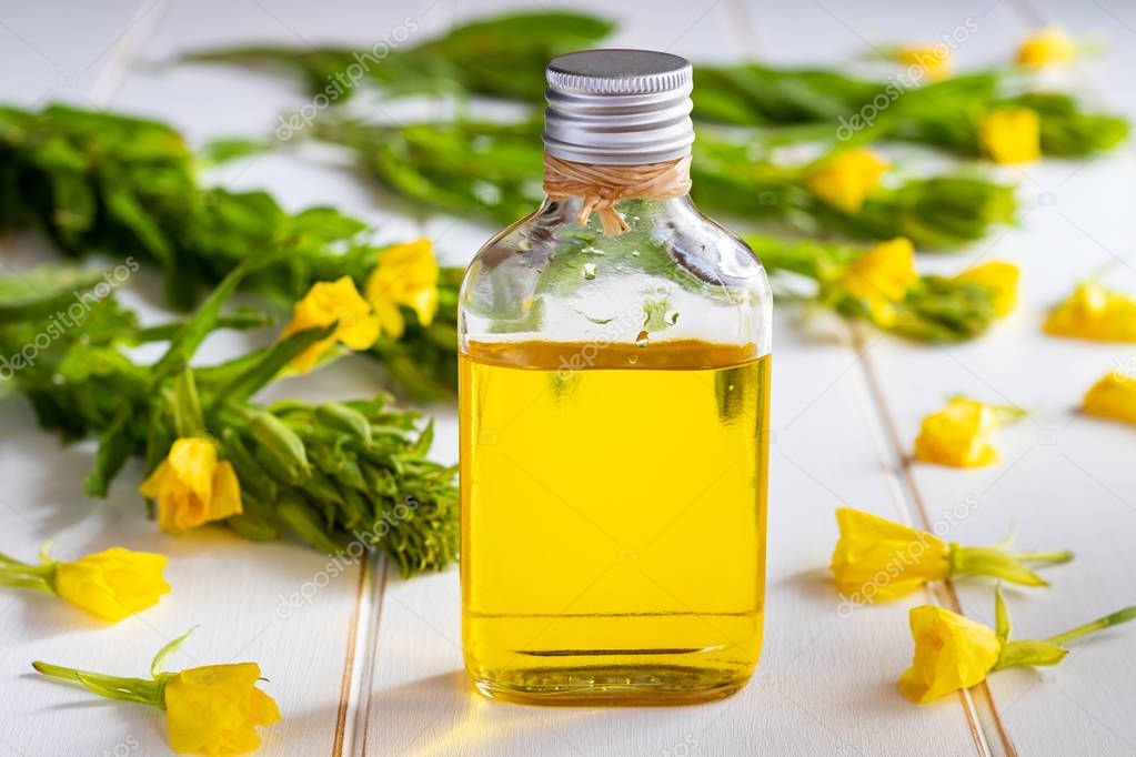 A bottle of evening primrose oil and fresh blooming plant on a white background