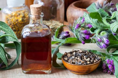 Comfrey tincture with fresh symphytum officinale plant and dried root clipart
