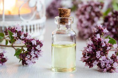 Taze kekik dalıyla birlikte bir şişe gerekli yağ.