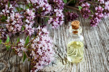 Taze kekik dalıyla birlikte bir şişe gerekli yağ.