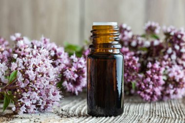 Taze kekik dalıyla birlikte bir şişe gerekli yağ.