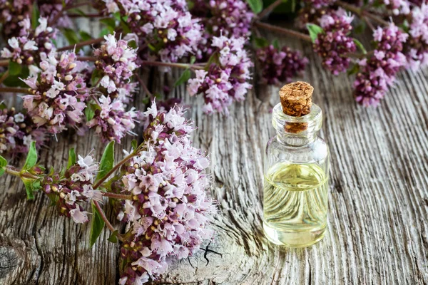 Taze kekik dalıyla birlikte bir şişe gerekli yağ.