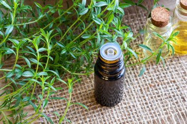 Dağ kokulu esans taze Satureja montana bitki ile bir şişe