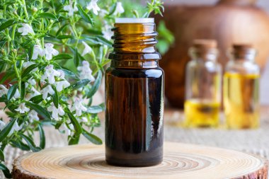 Dağ kokulu esans taze çiçek açan Satureja montana bitki ile bir şişe