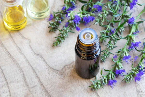 Bottle Essential Oil Fresh Blooming Hyssop Twigs — Stock Photo, Image