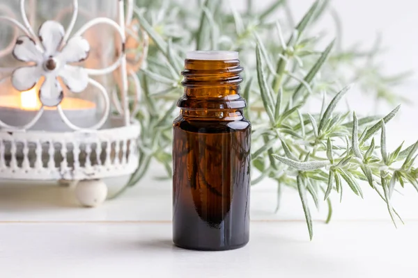 Bottle Wormwood Essential Oil Fresh Artemisia Absinthium Plant — Stock Photo, Image