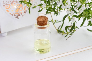 Dağ kokulu esans taze çiçek açan Satureja montana bitki ile bir şişe