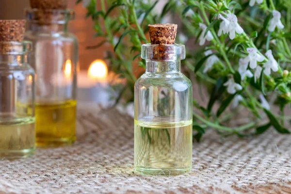 En flaska berg kyndel eterisk olja med färska Satureja mo — Stockfoto