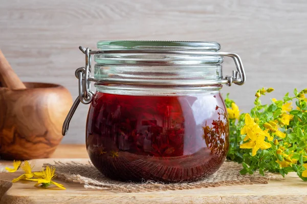 John Wort Blomster Udblødning Olivenolie Som Blevet Rød - Stock-foto