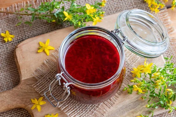 Hierba San Juan Flores Macerando Aceite Oliva Que Vuelto Rojo —  Fotos de Stock