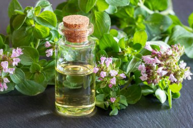 Taze kekik dalıyla birlikte bir şişe gerekli yağ.