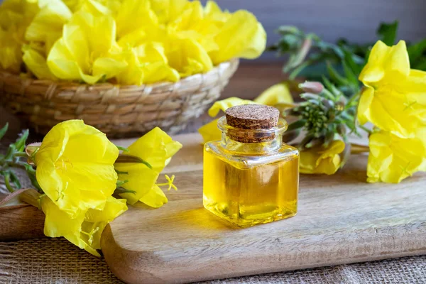 Bottle Evening Primrose Oil Fresh Blooming Plant — Stock Photo, Image