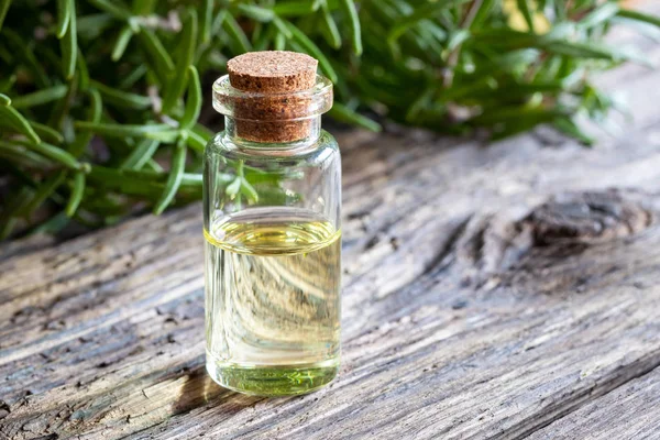 Bottle Essential Oil Fresh Rosemary Background — Stock Photo, Image