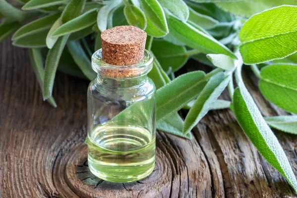 Flaska Eterisk Olja Med Färska Salvia Kvistar — Stockfoto