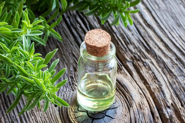 A bottle of mountain savory essential oil with fresh Satureja montana plant on old wood