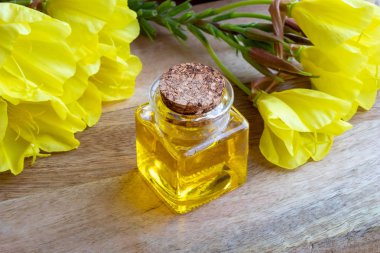 Evening primrose yağı ahşap arka plan üzerinde taze çiçek açan bitki ile bir şişe