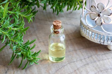 Dağ kokulu esans taze Satureja montana bitki ile bir şişe