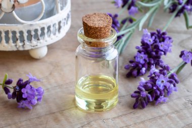 Taze çiçek açan lavanta dallarıyla birlikte bir şişe gerekli yağ.