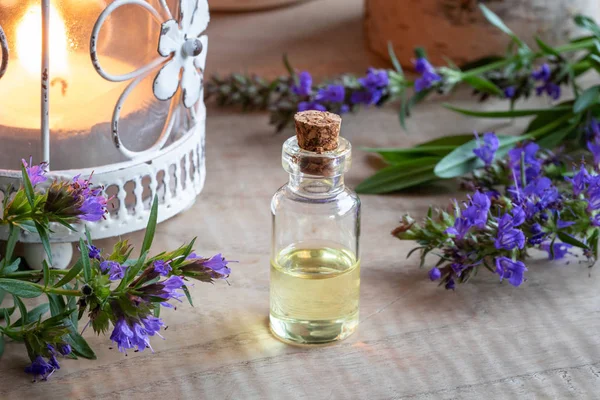 Une Bouteille Huile Essentielle Avec Des Brindilles Hysope Fraîches Fleurs — Photo