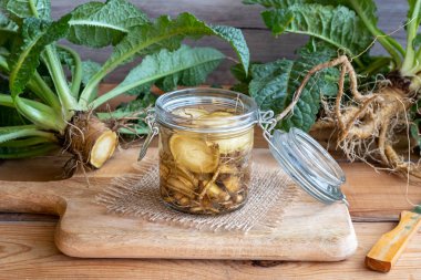 Preparation of alcohol tincture from wild teasel root - a folk remedy for lyme disease clipart