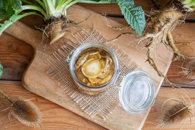 Preparation of alcohol tincture from wild teasel root - a folk remedy for lyme disease clipart