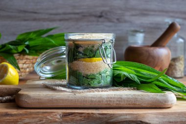 Taze ribwort muz yaprakları, limon ve şeker kamışı, öksürük karşı ev yapımı bitkisel şurup hazırlamak için bir kavanoz dolu