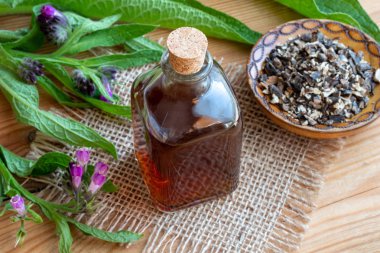 Comfrey tincture with dried root and fresh plant clipart