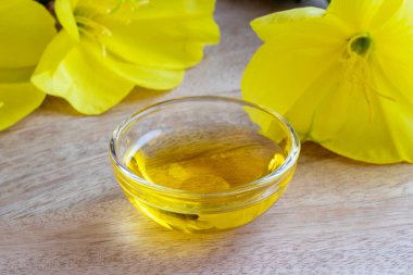 Evening primrose yağı ile çiçeklenme oenothera biennis bitki 