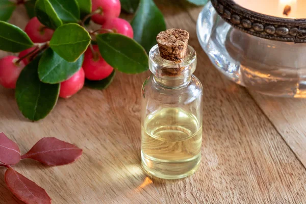 Bottle Essential Oil Fresh Wintergreen Twigs Berries — Stock Photo, Image