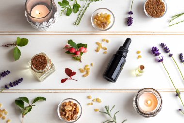 Esans buhur, wintergreen, lavanta ve diğer otlar üzerinde beyaz bir arka plan ile şişe
