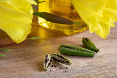 Evening primrose tohumlar, taze oenothera biennis çiçekler ve yağ içinde belgili tanımlık geçmiş ile