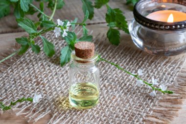 Bir şişe çiçek açan verbena officinalis dallar ile ortak Mine çiçeği esans ve bir mum