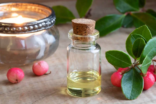 Una Botella Aceite Esencial Con Ramitas Verdor Invernal Bayas — Foto de Stock