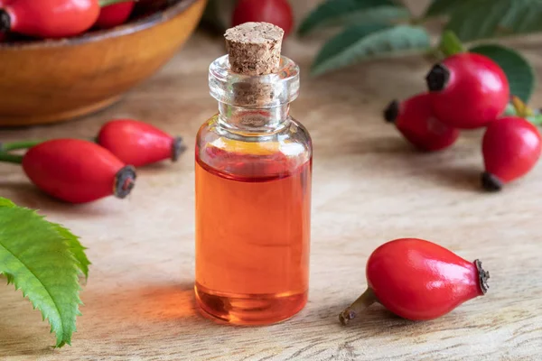 Una Botella Aceite Semilla Rosa Mosqueta Con Planta Fresca — Foto de Stock