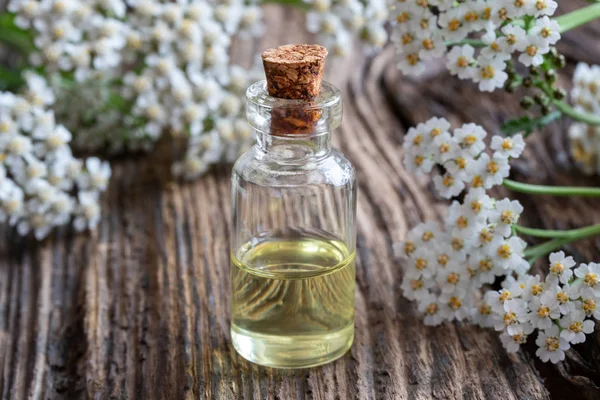 Eine Flasche Ätherisches Mit Frisch Blühenden Schafgarbenzweigen — Stockfoto