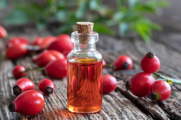 Una Botella Aceite Semilla Rosa Mosqueta Con Bayas Frescas Sobre —  Fotos de Stock